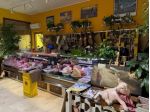 Gastronomia in vendita a San Giuliano Milanese