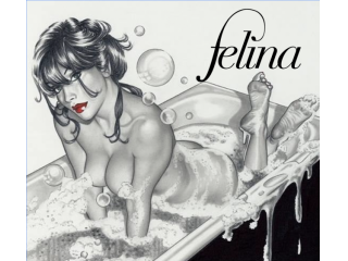 Massaggi - benessere Pescara - Studio FELINA Tel:3311958888
