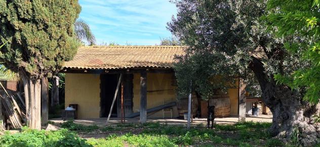 Terreno in vendita a Noto - Foto 10