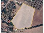 2054/RAVISCANINA Terreno agricolo in piano di mq 23.000 a Raviscanina, in p &hellip;
