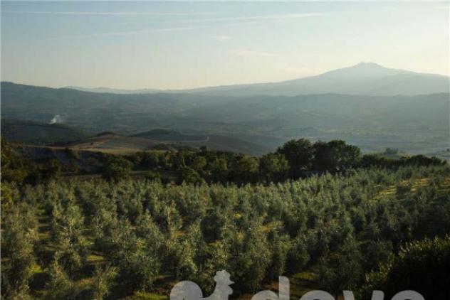 Rustico / Casale di 350 m² con 5 locali in vendita a Pienza - Foto 19