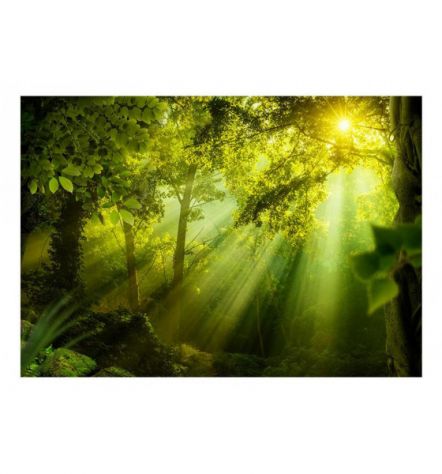 Fotomurale Adesivo Nella Foresta Misteriosa - Foto 2