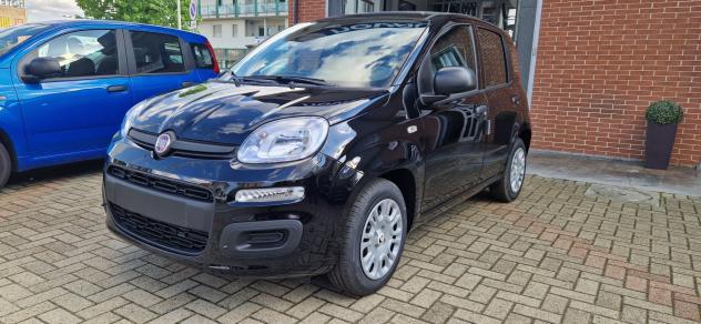 Fiat Panda 1.0 FireFly S&S Hybrid Icon