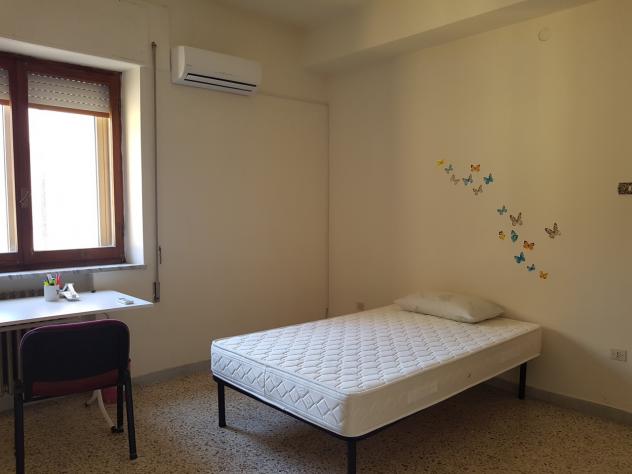 Trilocale in affitto a Catanzaro - Foto 6