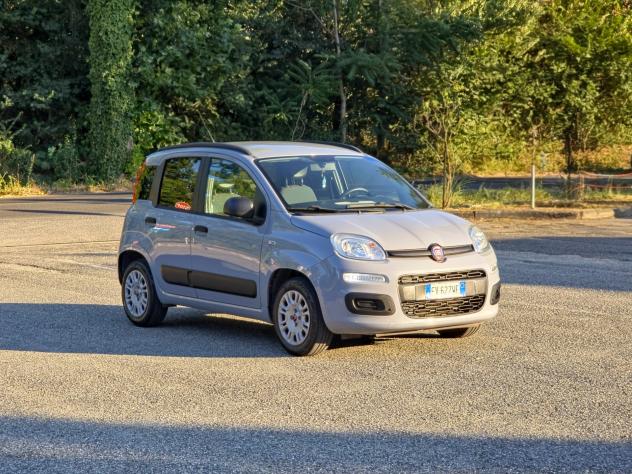 Fiat Panda 1.2 EasyPower Lounge CV-69 E6 GPL Manuale NEO 2019