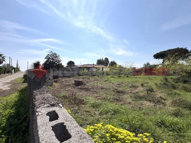 Terreno Agricolo - Terracina . Rif.: Cod. rif 3308552VRG - Foto 17