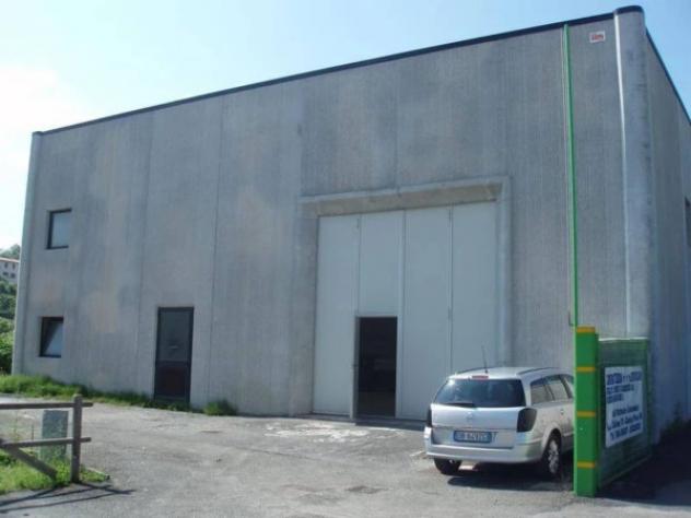Immobile in asta di 292 m² con più di 5 locali e box auto doppio in vendita a Arcidosso - Foto 4