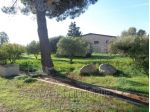 IMMOBILI-IMMOBILE COMMERCIALE-Località Is Buttegheddas