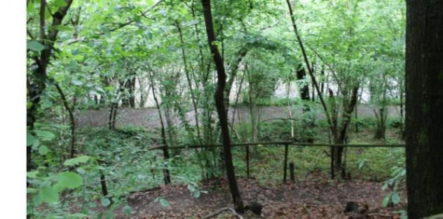 Immobile in asta di 20 m² in vendita a Besana in Brianza - Foto 6