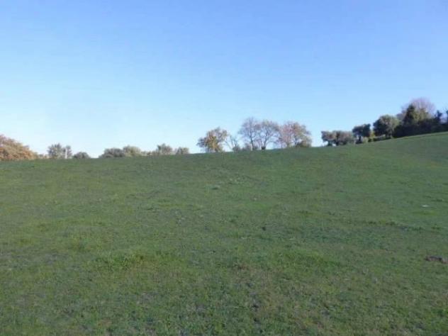 Immobile in asta di 6430 m² in vendita a Casignana - Foto 5