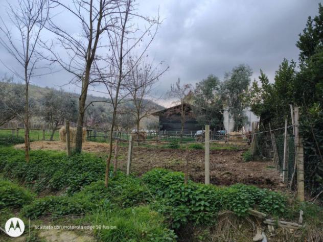 Immobile in asta di 22865 m² in vendita a Teramo - Foto 5
