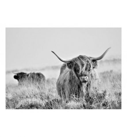 Fotomurale Adesivo Con Un Caprone Di Montagna Arredalacasa - Foto 2