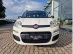 FIAT Panda Panda 0.9 t.air t. natural power Easy 80cv