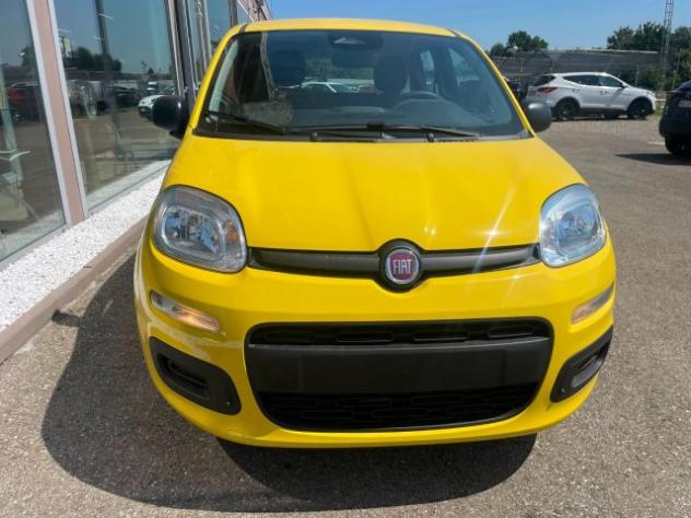 FIAT Panda 1.0 FireFly S&S Hybrid Pandina rif. 23992882 - Foto 5