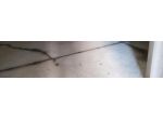 R.G.E. 288/2023 Pavia