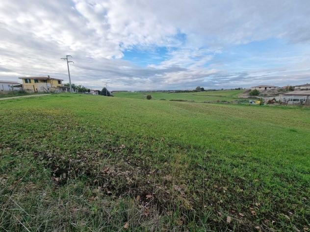 Agricolo in Via della Pescarella - Foto 6