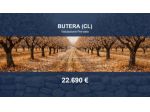 Immobile in asta di 3500 m² in vendita a Butera