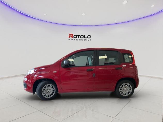 FIAT Pandina Pandina 1.0 FireFly 65 CV Hybrid Icon - Foto 5
