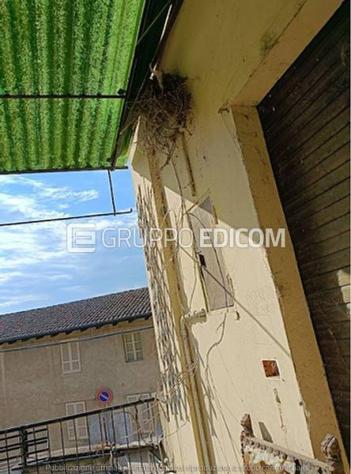 Abitazione di tipo economico in vendita a Rosasco - Rif. 4546030 - Foto 3