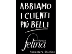 Massaggi - benessere Pescara - Studio FELINA Tel:3311958888