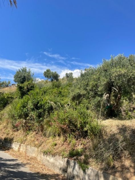 Casal Velino Frazione Acquavella terreno panoramico - Foto 3