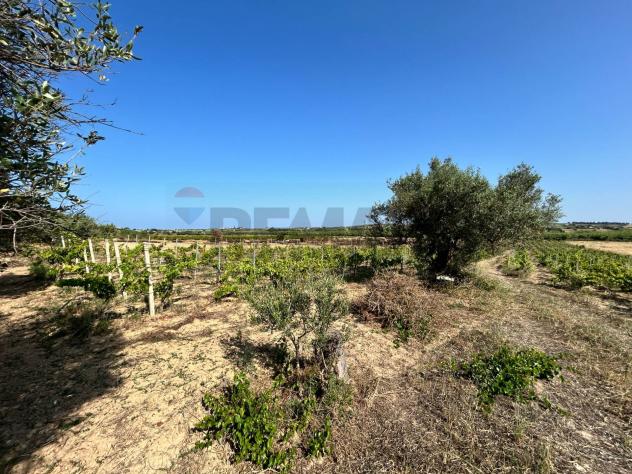 Terreno in vendita a Noto - Foto 11
