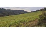 TERRENO AGRICOLO 4000 MQ A BORGO TREVI