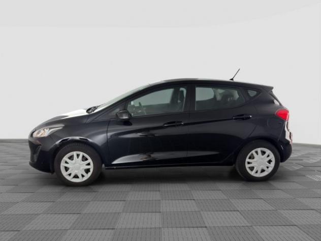 FORD Fiesta Fiesta 1.1 85 CV 5 porte Plus / Business rif. 24100900 - Foto 2