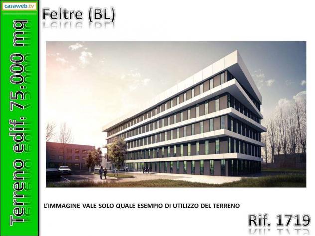 1719 - Terreno Edif. 75.000 mq a Feltre (BL) Rif. 1719 - Foto 6