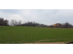 TERRENO AGRICOLO  MQ. 5000 PRIMULACCO