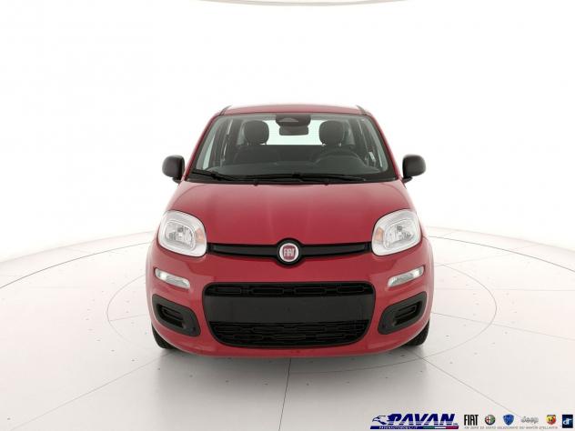FIAT Pandina 1.0 FireFly 65 CV Hybrid Pop - Foto 2