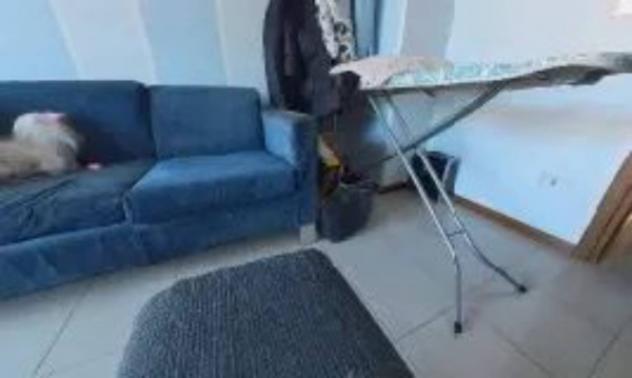 Immobile in asta di 110 m² in vendita a Gorizia - Foto 14