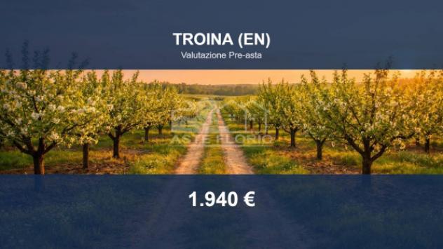 Immobile in asta di 8457 m² in vendita a Troina