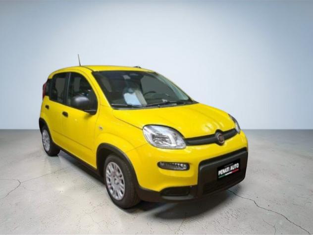 FIAT Pandina Pandina 1.0 firefly hybrid Icon s&s 65cv - Foto 4