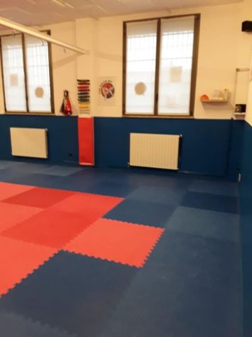 Affittasi sala per corsi di arti marziali e fitness ingenere - Foto 2
