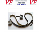 Kit Distribuzione MODIFICA DICOR 2.2 Tata Safari Xenon