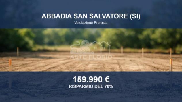 Immobile in asta di 13513 m² in vendita a Abbadia San Salvatore