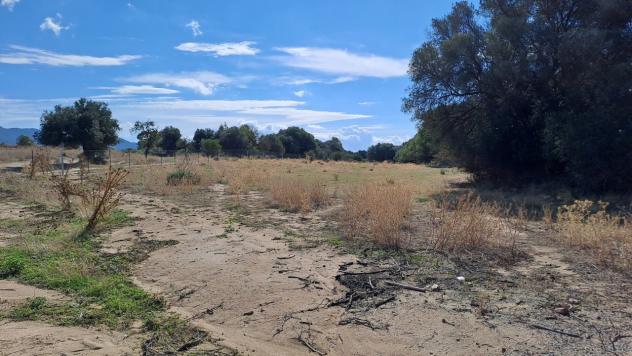 Agricolo in vendita a Quartucciu - Foto 18