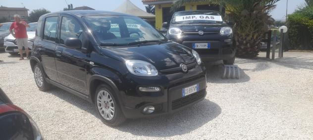 FIAT PANDA HYBRID 2024' KM 4500 TREKING! - Foto 5
