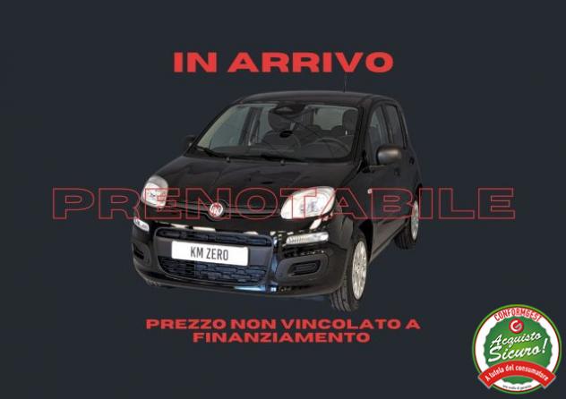 FIAT Pandina 1.0 FireFly 65 CV Hybrid Icon rif. 24039616