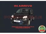 FIAT Pandina 1.0 FireFly 65 CV Hybrid Icon rif. 24039616