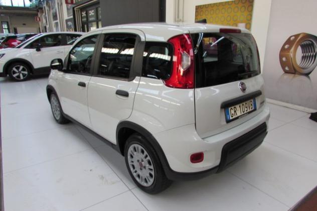 FIAT Panda 1.0 FireFly S&S Hybrid rif. 24216237 - Foto 4