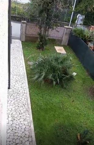 Appartamento in vendita a Massa