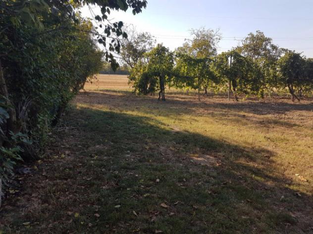 Immobile di 160 m² in vendita a Carpi