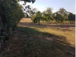 Immobile di 160 m² in vendita a Carpi