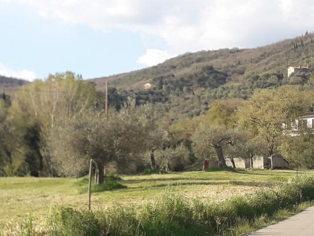 Industriale in vendita a Passignano sul Trasimeno - Foto 13