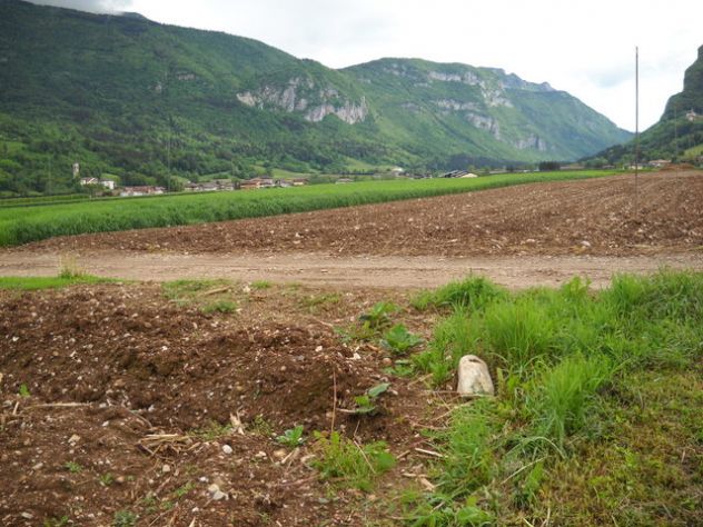 Terreno agricolo con irrigazione - Foto 5