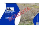 Immobile in asta di 38 m² in vendita a Salemi