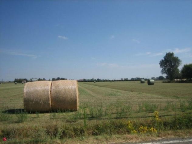 Terreno agricolo in Vendita in Via Carpi Ravarino 619 a Soliera - Foto 9