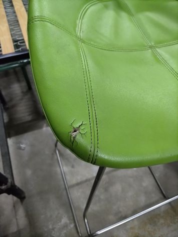 SGABELLO "FJORD" DI MOROSO - Foto 5